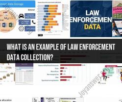 Law Enforcement Data Collection: Real-Life Example