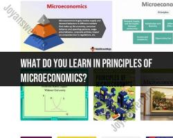Learning Objectives in Principles of Microeconomics: Course Insights