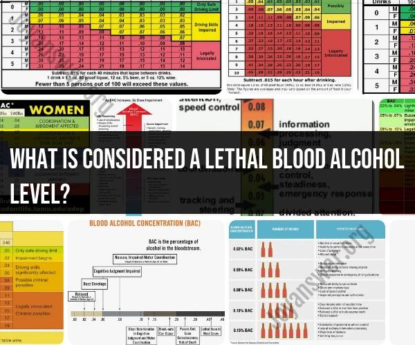 Lethal Blood Alcohol Level Understanding The Risk JoyAnswer