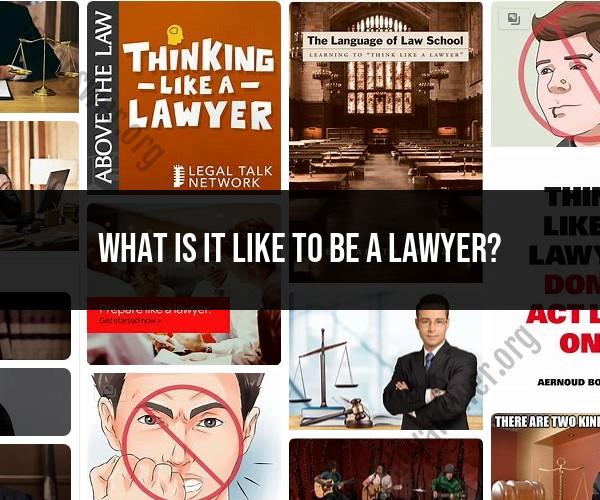 Life as a Lawyer: Insights into the Legal Profession