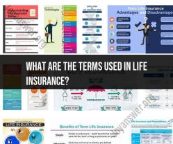 Life Insurance Terms: Key Definitions