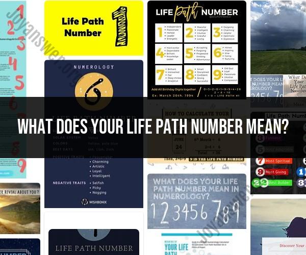 Life Path Number Meaning: Numerology Interpretation