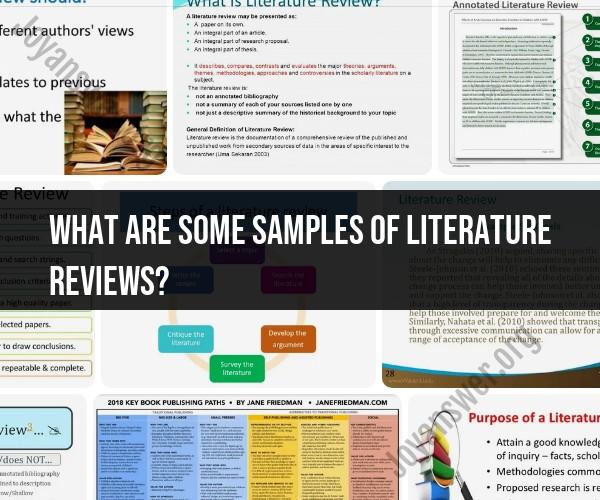 Literature Review Samples: Examples for Research