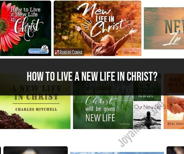 Living a New Life in Christ: Steps to Spiritual Renewal