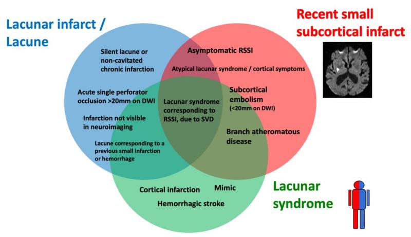 Long-Term Impacts of Lacunar Infarct: Prolonged Effects