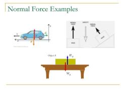 Magnitude of Normal Force: Understanding its Significance