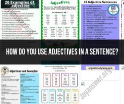 Mastering Adjective Usage in Sentences: Effective Language Techniques