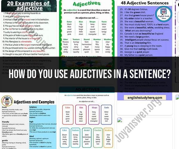 Mastering Adjective Usage in Sentences: Effective Language Techniques