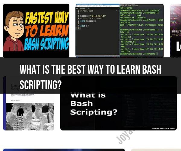 Mastering Bash Scripting: Best Path to Proficiency