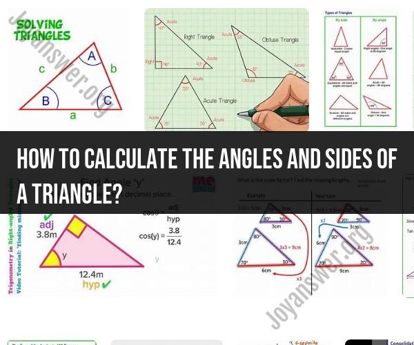 Mastering Triangle Angle and Side Calculations