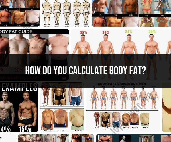 Methods for Calculating Body Fat