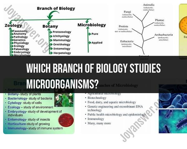 Microbiology: The Study of Microorganisms