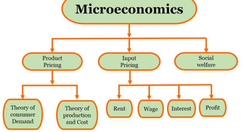 Microeconomics in Simple Terms: Basic Explanation