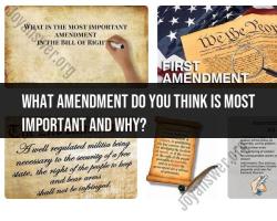 Most Important Constitutional Amendment: Personal Opinion and Analysis