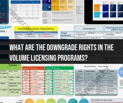 Navigating Licensing Terrain: Demystifying Downgrade Rights in Volume Licensing Programs