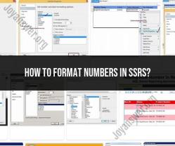 Navigating Number Formatting in SSRs: A Comprehensive Guide