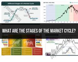 Navigating the Market Cycle: Understanding Key Stages