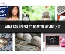 Navigating Your 401(k) Election Options
