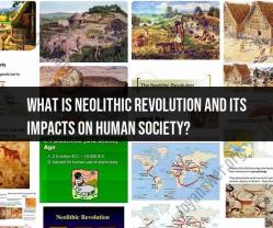 Neolithic Revolution and Its Impact on Human Society
