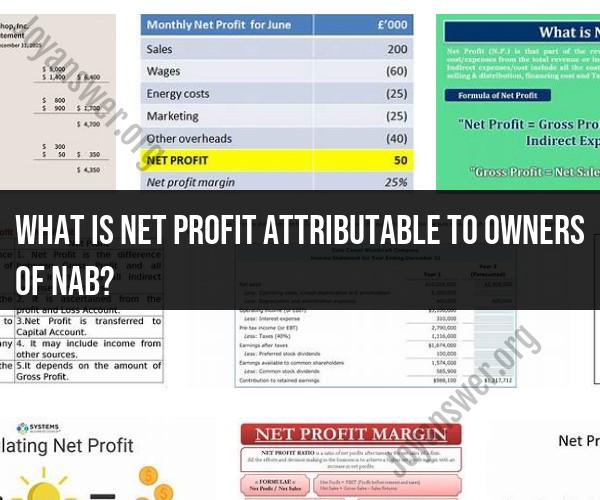 Net Profit Attributable to Owners of NAB: Financial Insights