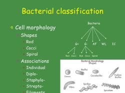 Nomenclature of Bacteria: Naming Microbial Organisms