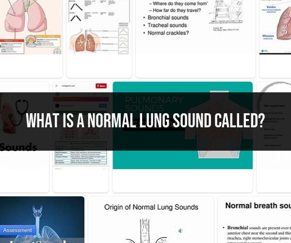 Normal Lung Sounds: Understanding Respiratory Health