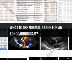 Normal Range for an Echocardiogram: What to Expect
