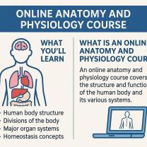 Online Anatomy and Physiology Course: What You’ll Learn