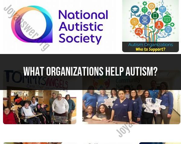 Organizations Offering Autism Support: A Guide