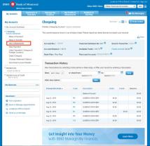 Overdraft Dilemma: What Happens If I Overdraw My BMO Harris Account?