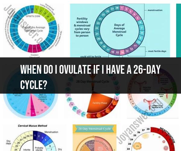 Ovulation Timing with a 26-Day Cycle: A Guide for Fertility
