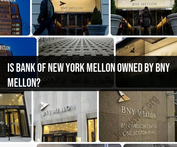 Ownership of Bank of New York Mellon (BNY Mellon)