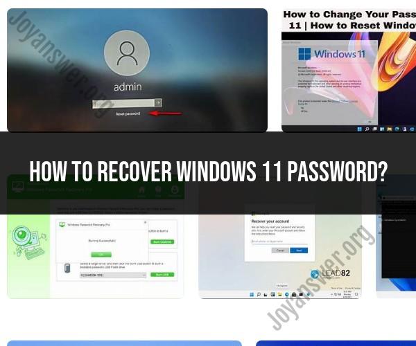 Password Recovery for Windows 11: Step-by-Step Guide
