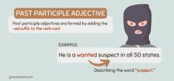 Past Participle as an Adjective: Grammatical Role