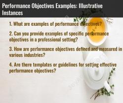 Performance Objectives Examples: Illustrative Instances