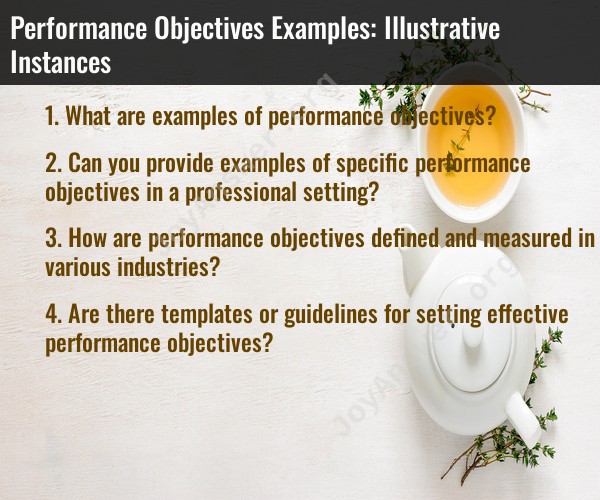 Performance Objectives Examples: Illustrative Instances