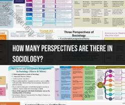 Perspectives in Sociology: Exploring Diverse Viewpoints