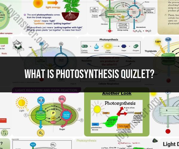 Photosynthesis Quizlet: Interactive Learning Resource