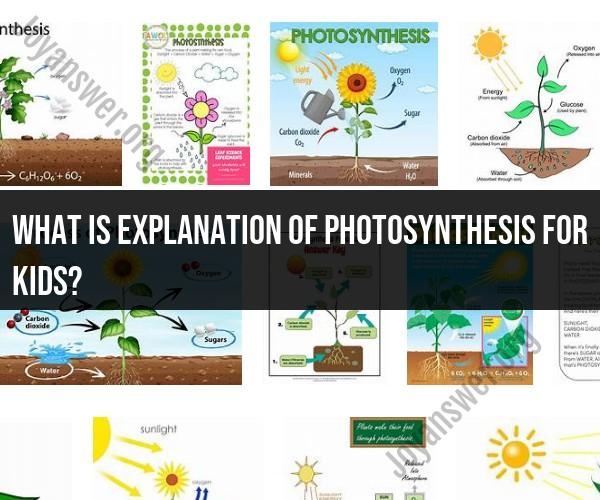 Photosynthesis Unveiled: A Kid-Friendly Explanation