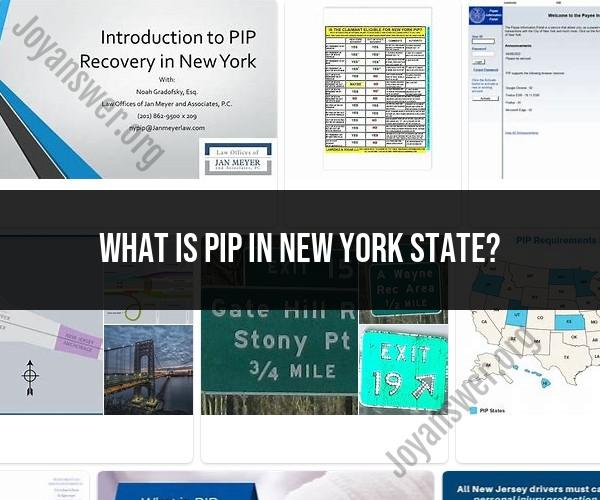 PIP in New York State: Explanation and Context