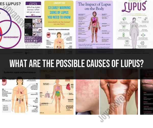 Possible Causes of Lupus: Understanding the Factors