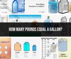 Pounds to Gallon Conversion: Mass to Volume Relationship