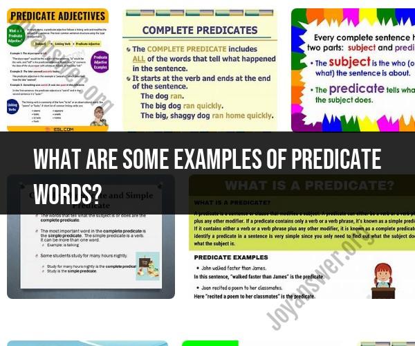 Predicate Words: Examples and Usage
