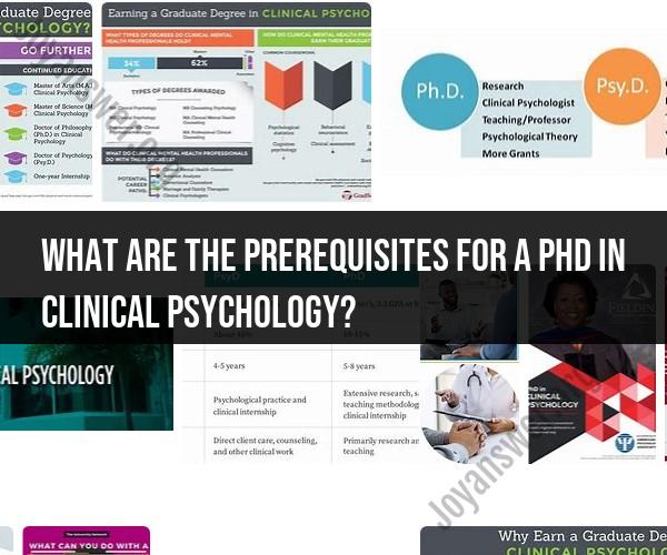 Prerequisites for a PhD in Clinical Psychology: Academic Pathway
