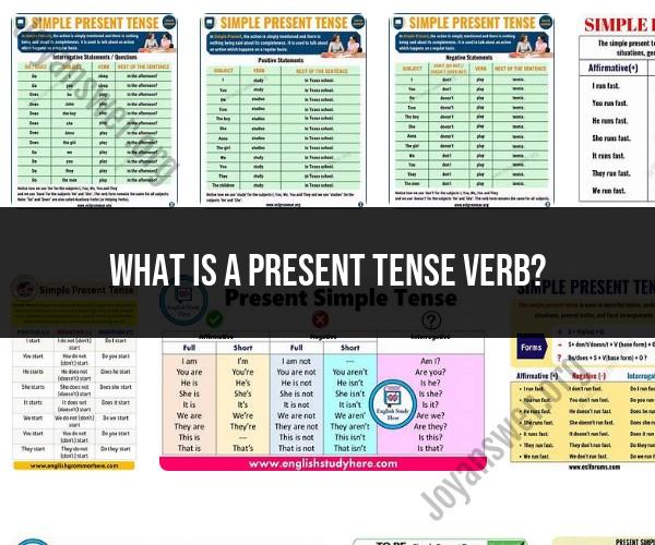 Present Tense Verb: Exploring Grammar Basics