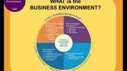 Principles of Effective Business Management