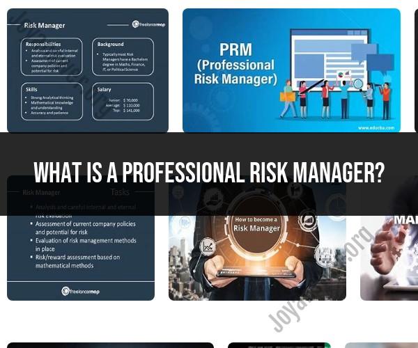 Professional Risk Manager: Roles and Responsibilities