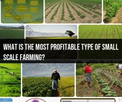 Profitable Small-Scale Farming: Types and Strategies