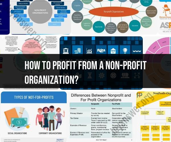 Profiting from a Nonprofit Organization: Financial Sustainability