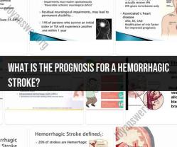 Prognosis of Hemorrhagic Stroke: Assessing Recovery and Long-Term Outcomes